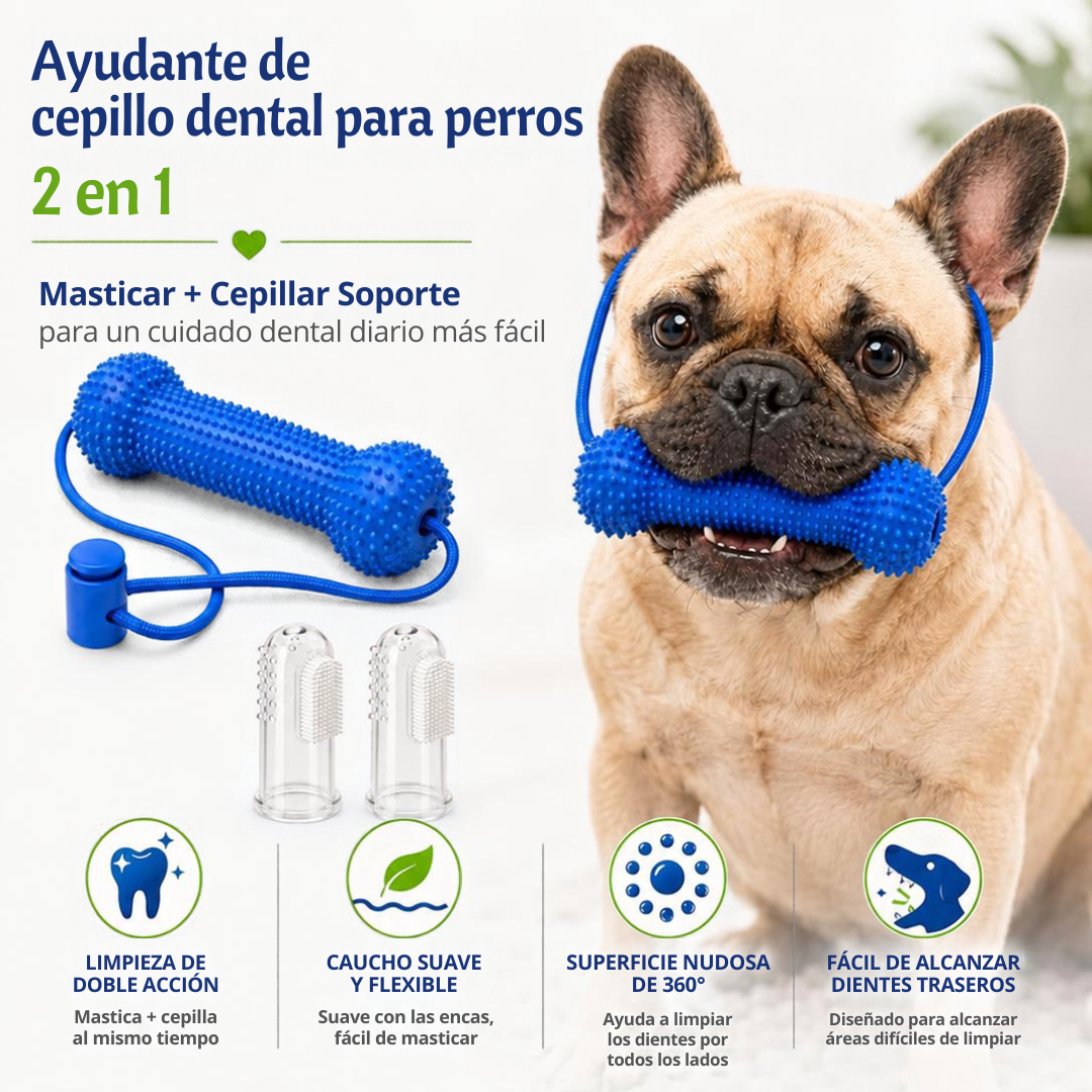 Mordedor dental: cepíllalo mientras juega