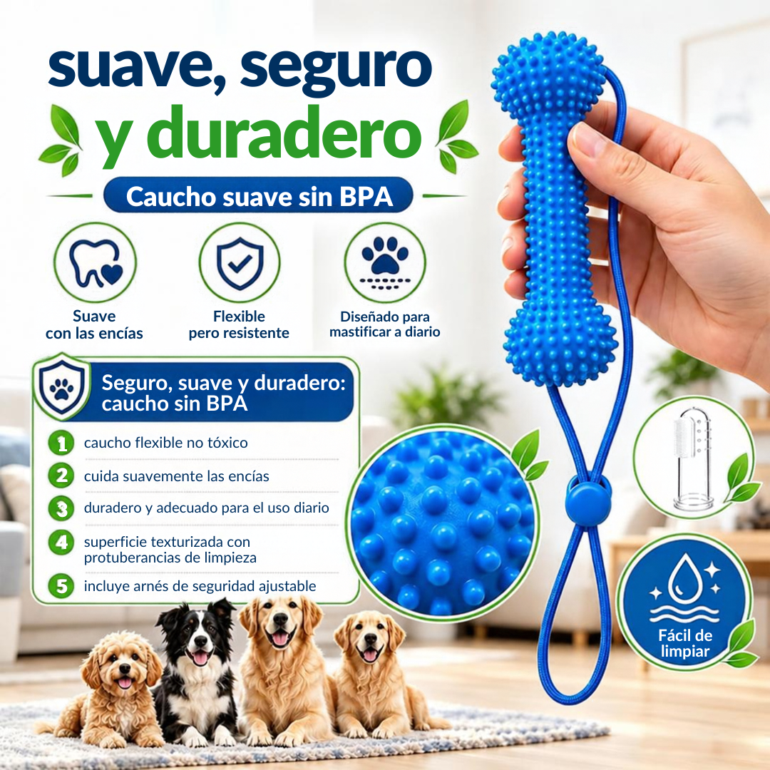 Mordedor dental: cepíllalo mientras juega