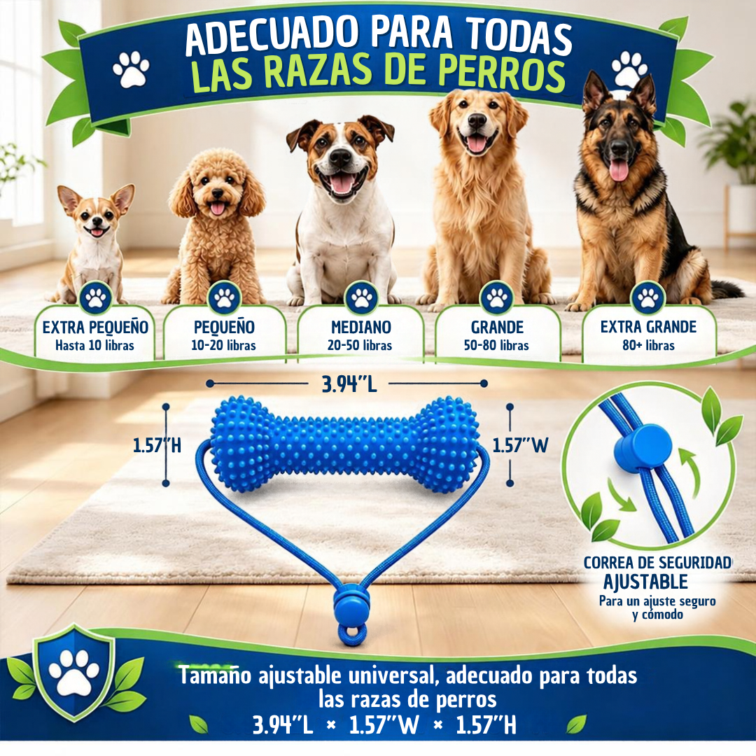 Mordedor dental: cepíllalo mientras juega