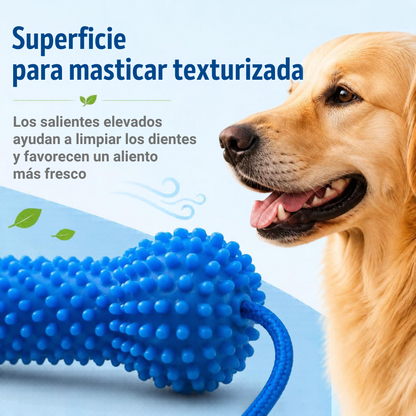 Mordedor dental: cepíllalo mientras juega